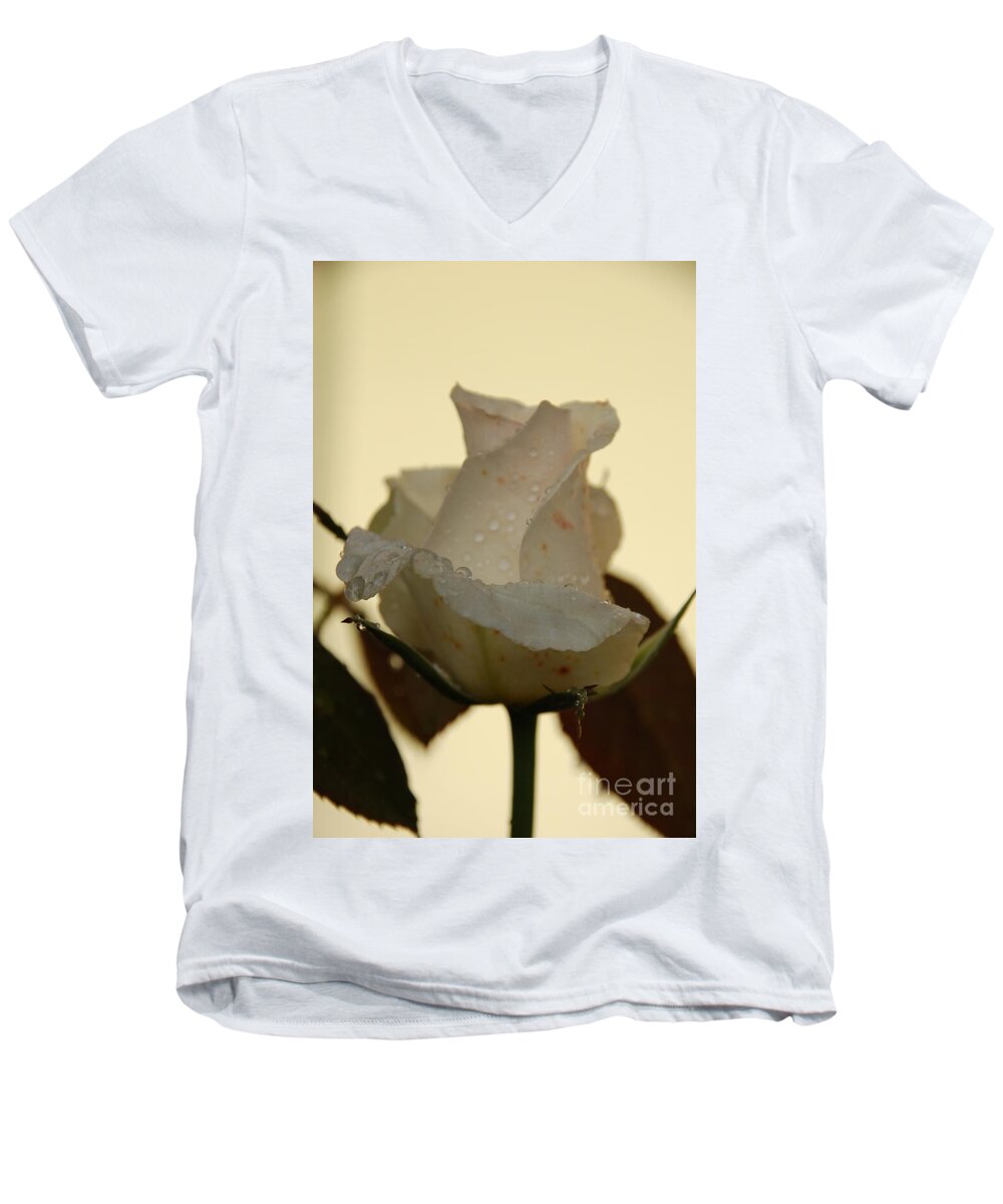 Rose Men's V-Neck T-Shirt featuring the photograph A Single White Rose by Randy J Heath
