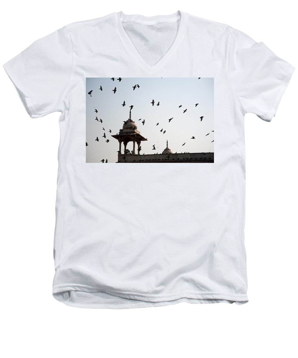 Delhi Men's V-Neck T-Shirt featuring the photograph A whole flock of pigeons on the top of the ramparts of the Red Fort in New Delhi by Ashish Agarwal