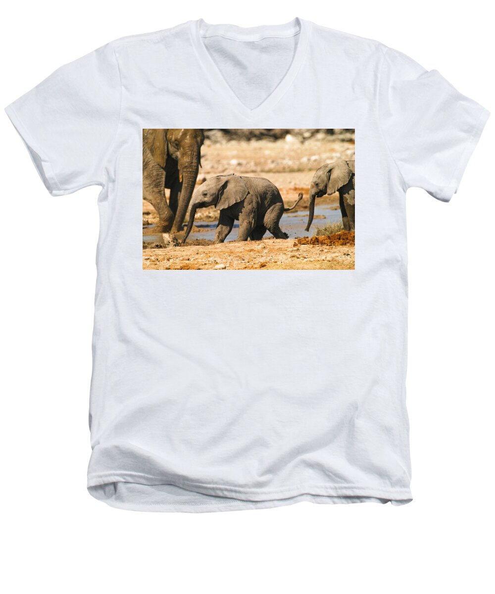 A Baby Elephants Play Men's V-Neck T-Shirt featuring the photograph Chase me by Alistair Lyne