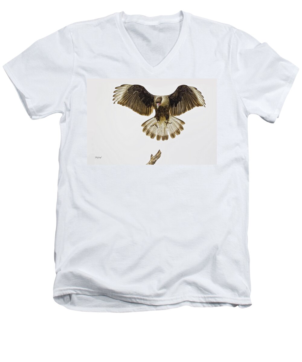 Crested Men's V-Neck T-Shirt featuring the photograph Crested Caracara alighting. by Fred J Lord