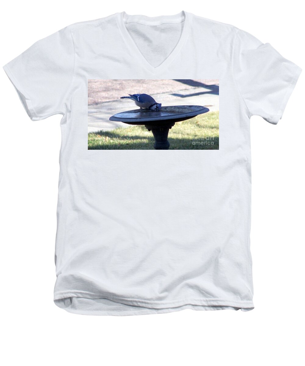 Blue Jay Men's V-Neck T-Shirt featuring the photograph Frustration by Dorrene BrownButterfield