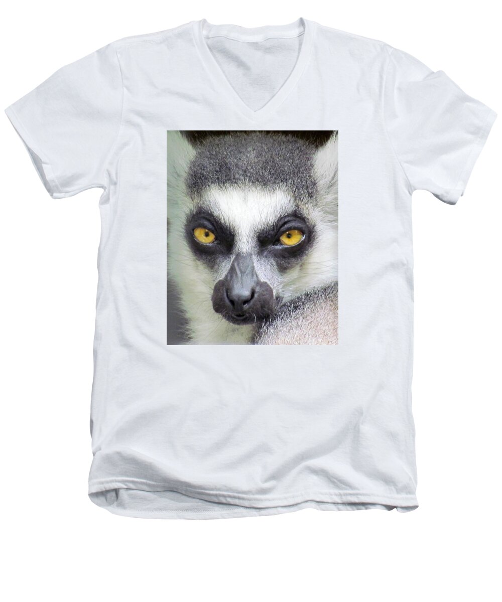 Lemur Men's V-Neck T-Shirt featuring the photograph Go Ahead--Make My Day by Lori Lafargue