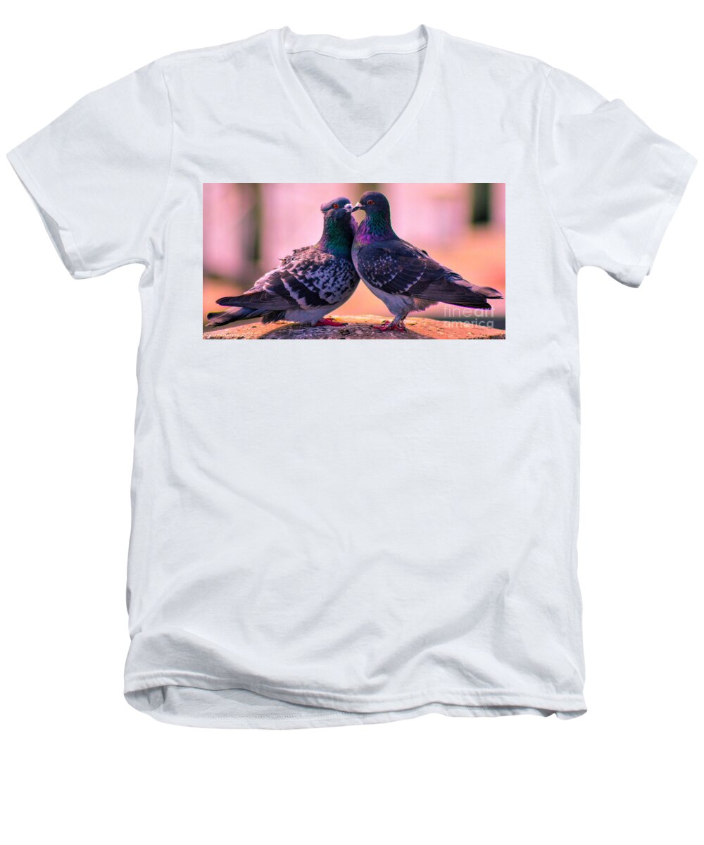 Doves Men's V-Neck T-Shirt featuring the photograph Love at First Site by Shannon Harrington