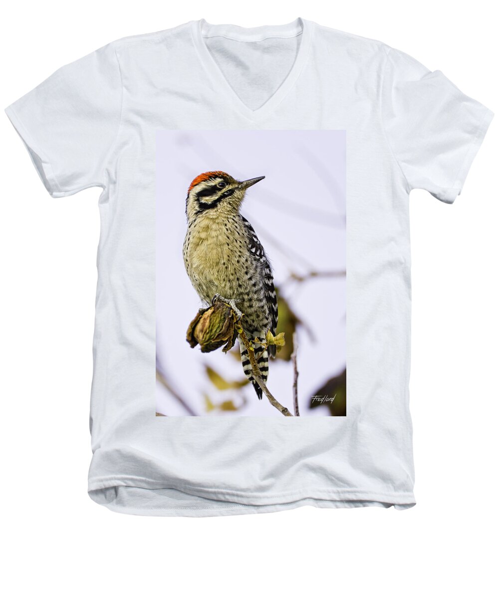 Woodpecker Men's V-Neck T-Shirt featuring the photograph Male Ladder Back Woodpecker Eating Pecan by Fred J Lord