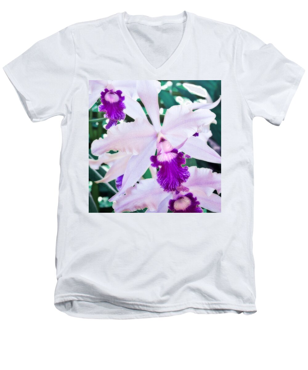 Floral Men's V-Neck T-Shirt featuring the photograph Orchids White and Purple by Steven Sparks
