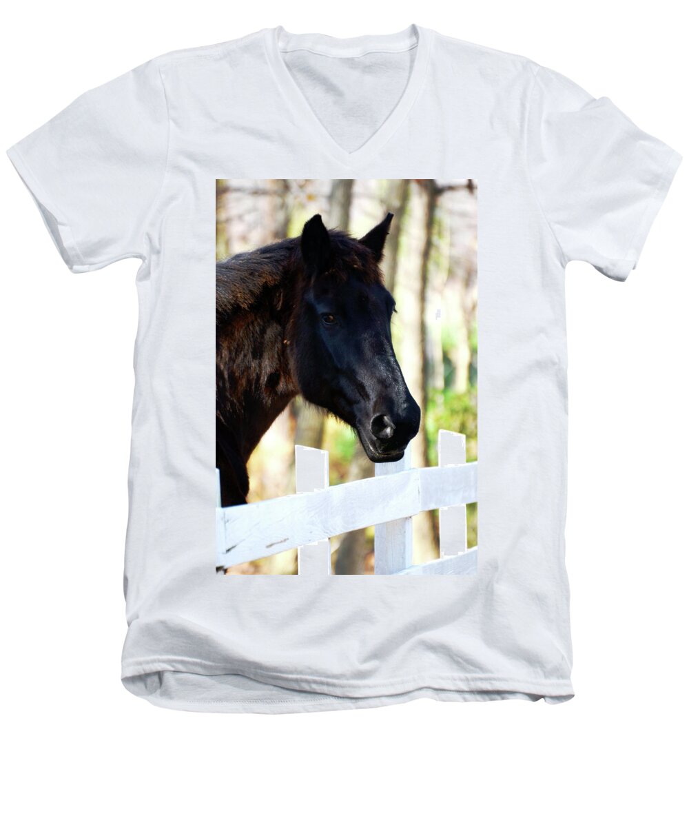 Horse Men's V-Neck T-Shirt featuring the photograph Stallion by La Dolce Vita