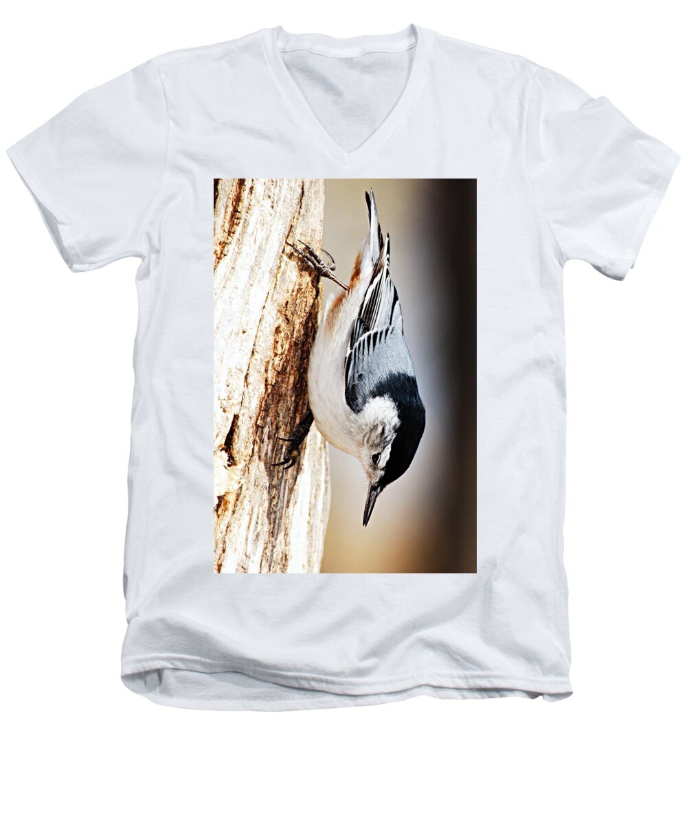 Photography Men's V-Neck T-Shirt featuring the photograph White-Breasted Nuthatch 2 by Larry Ricker