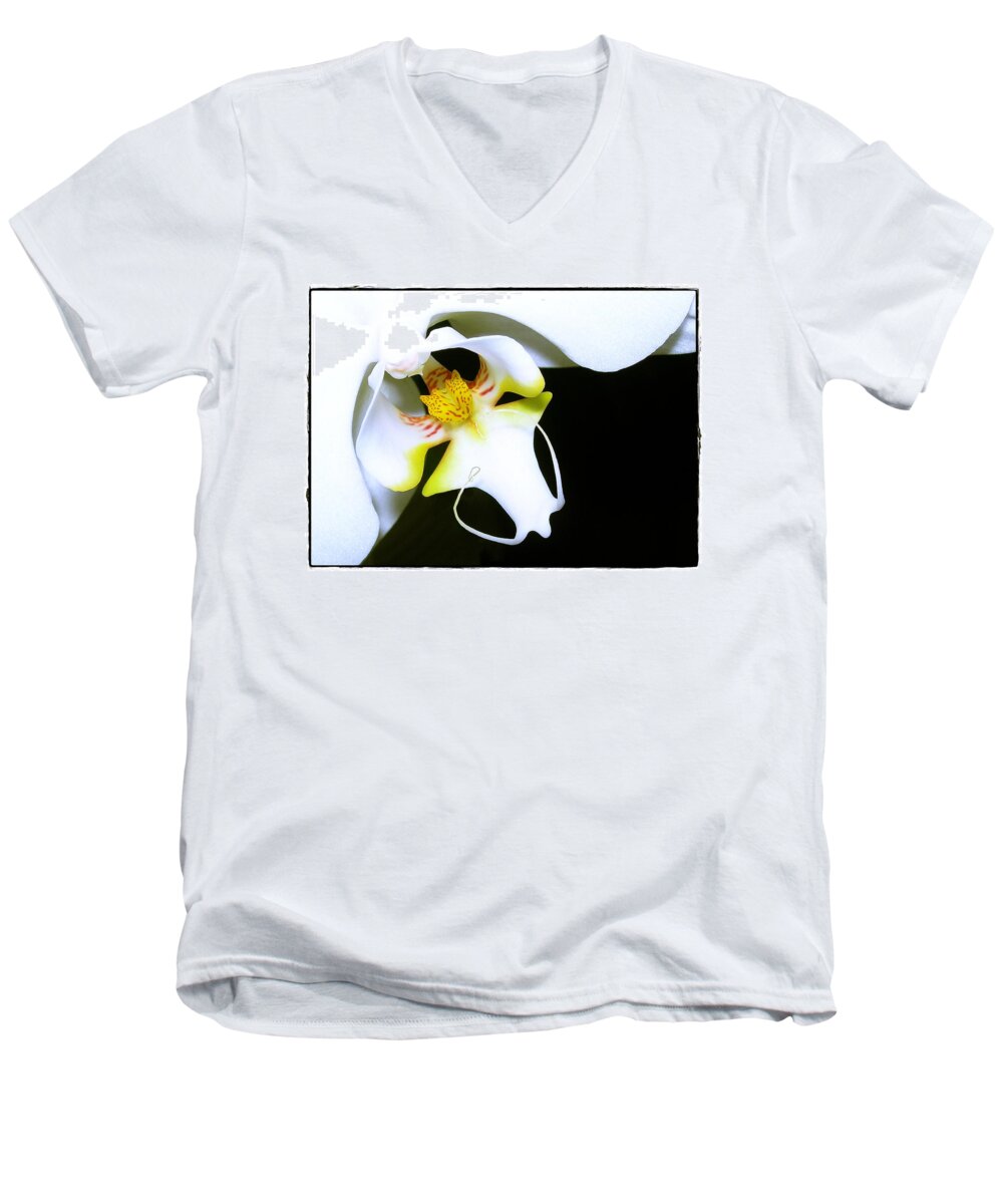 Phalaenopsis Men's V-Neck T-Shirt featuring the photograph White Elegance by Judi Bagwell