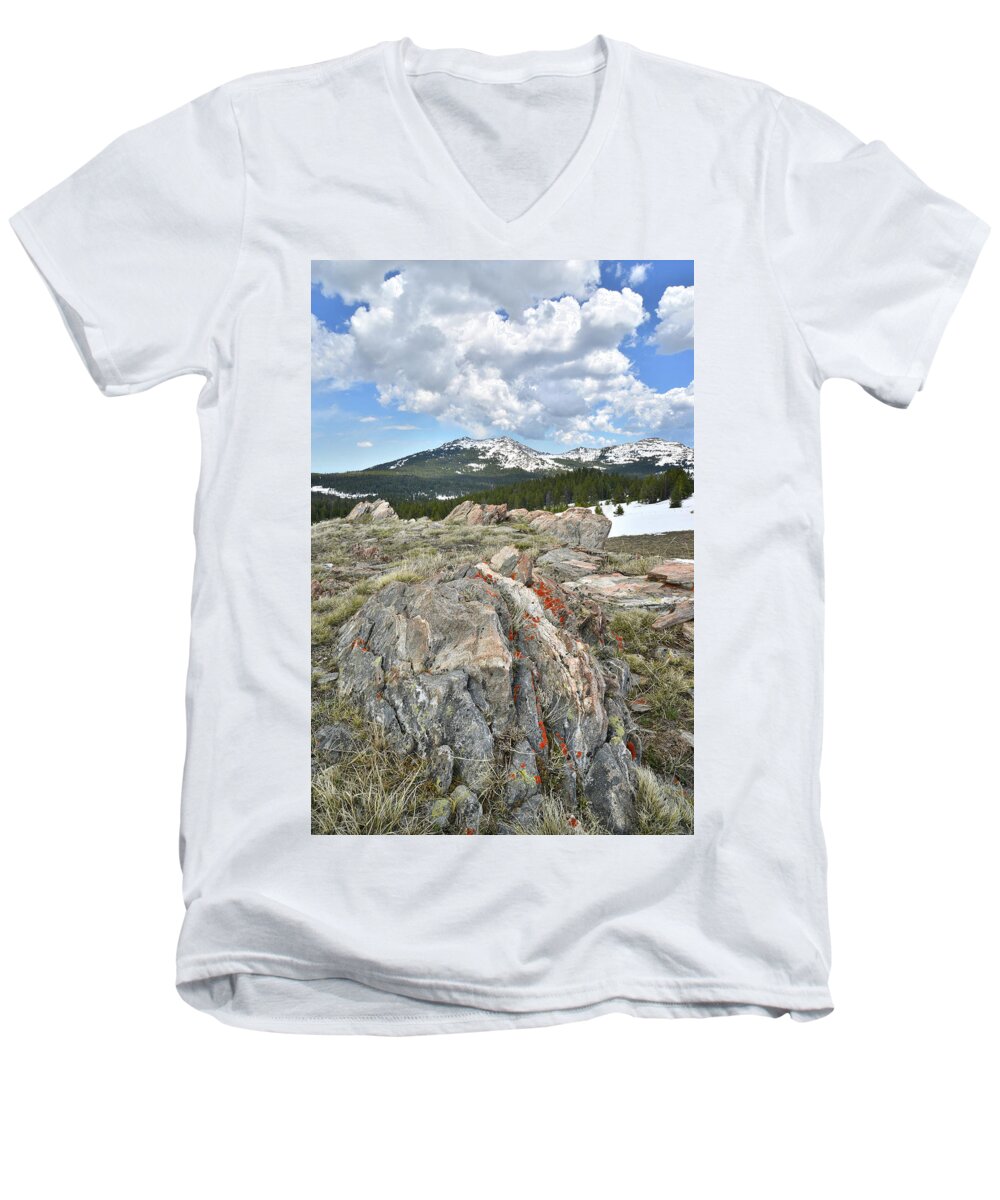 Big Horn Mountains Men's V-Neck T-Shirt featuring the photograph Big Horn Pass in Wyoming #1 by Ray Mathis