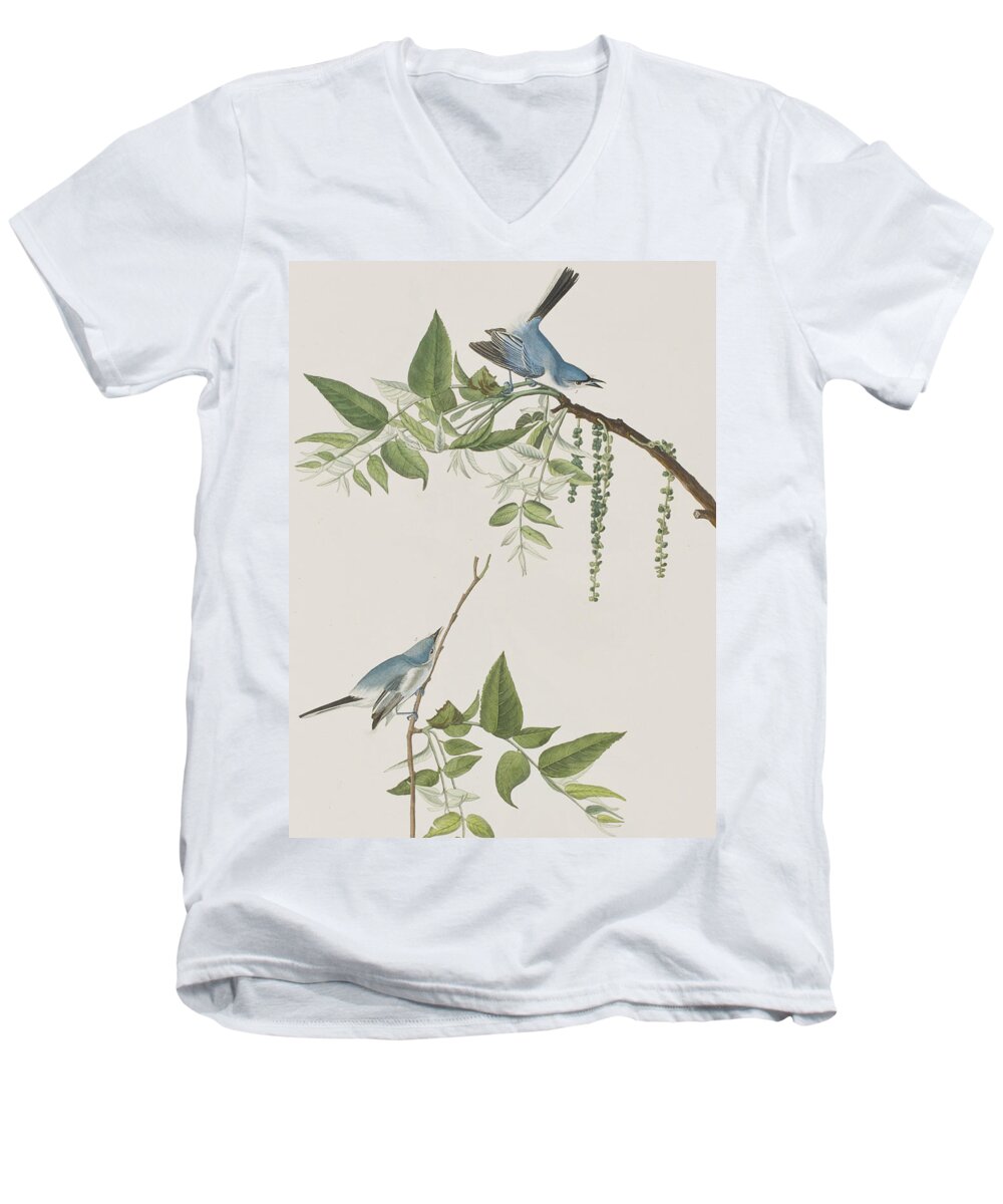 Flycatcher Men's V-Neck T-Shirt featuring the painting Blue Grey Flycatcher by John James Audubon
