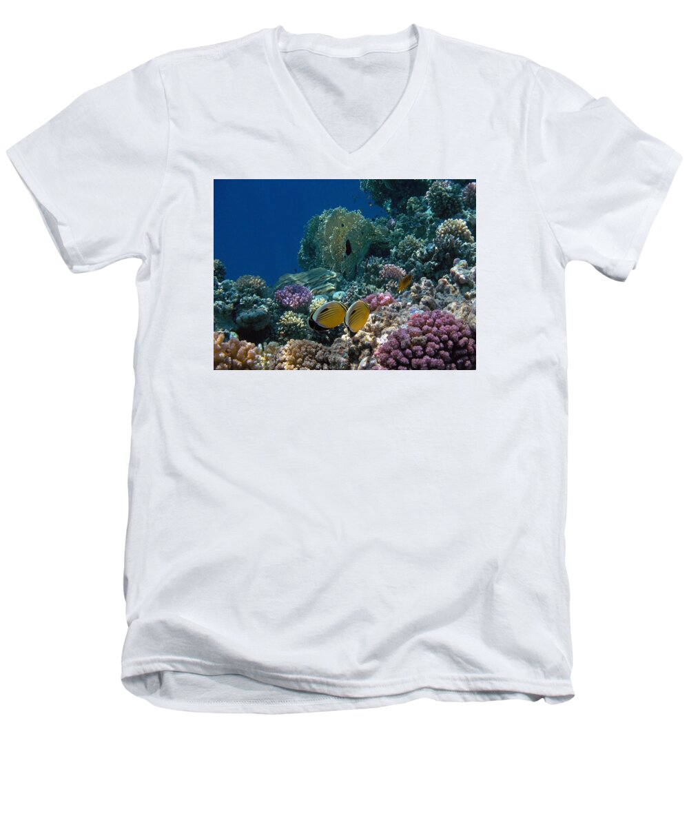 Sea Men's V-Neck T-Shirt featuring the photograph Exquisite Butterflyfish in the Red Sea by Johanna Hurmerinta