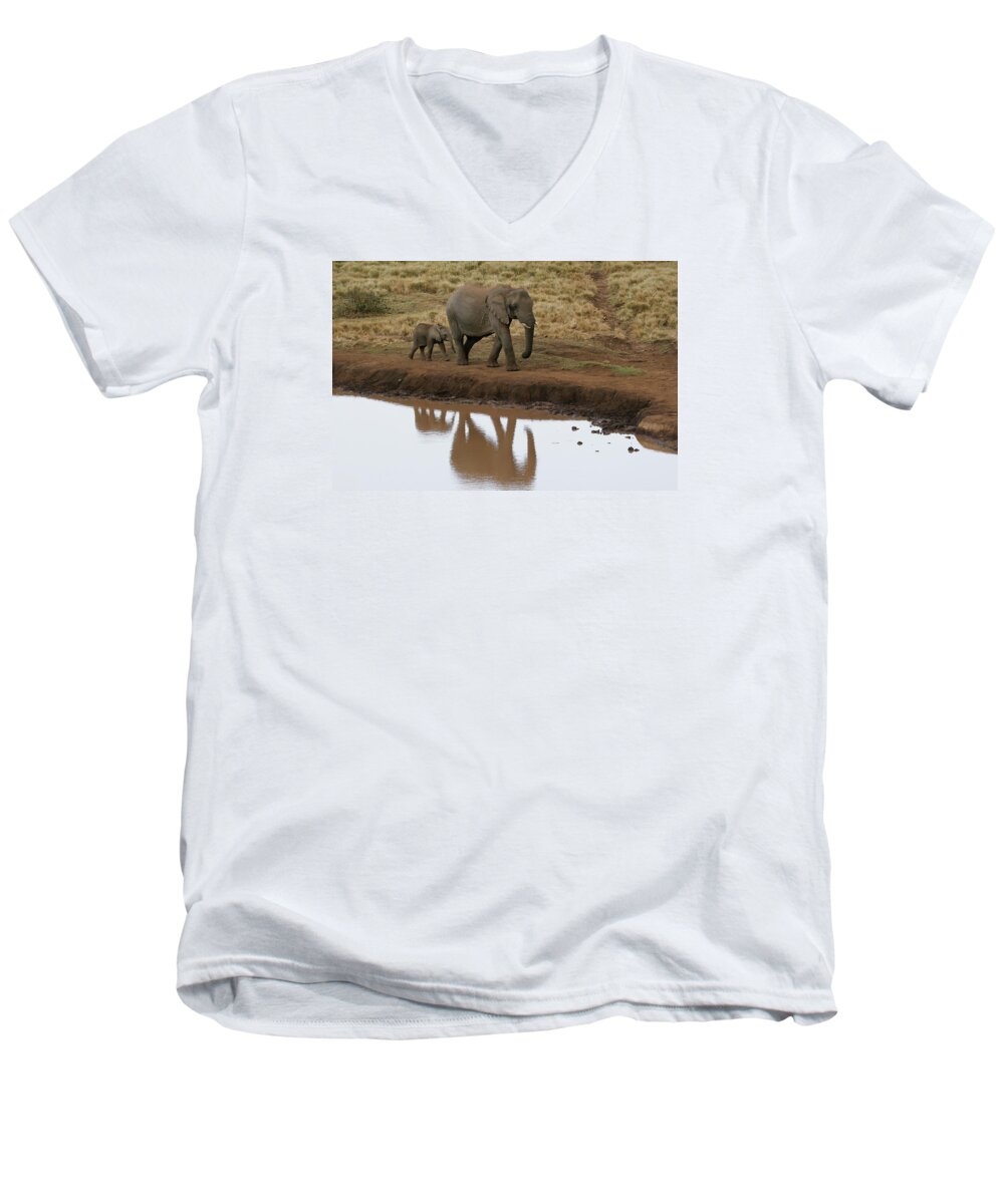 Gary Hall Men's V-Neck T-Shirt featuring the photograph Follow Me #1 by Gary Hall