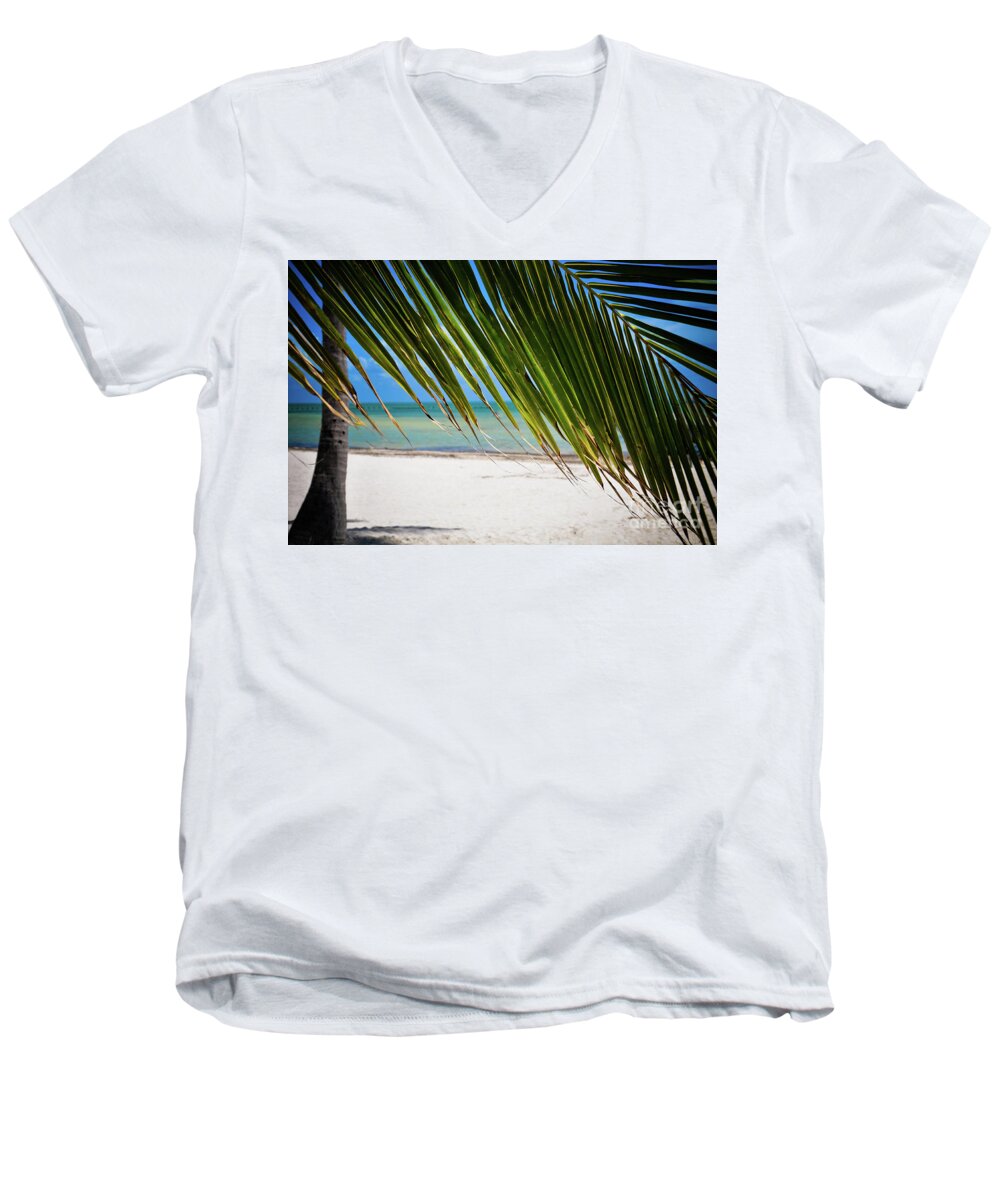 Key West Palm Tree Men's V-Neck T-Shirt featuring the photograph Key West Palm #2 by Kelly Wade