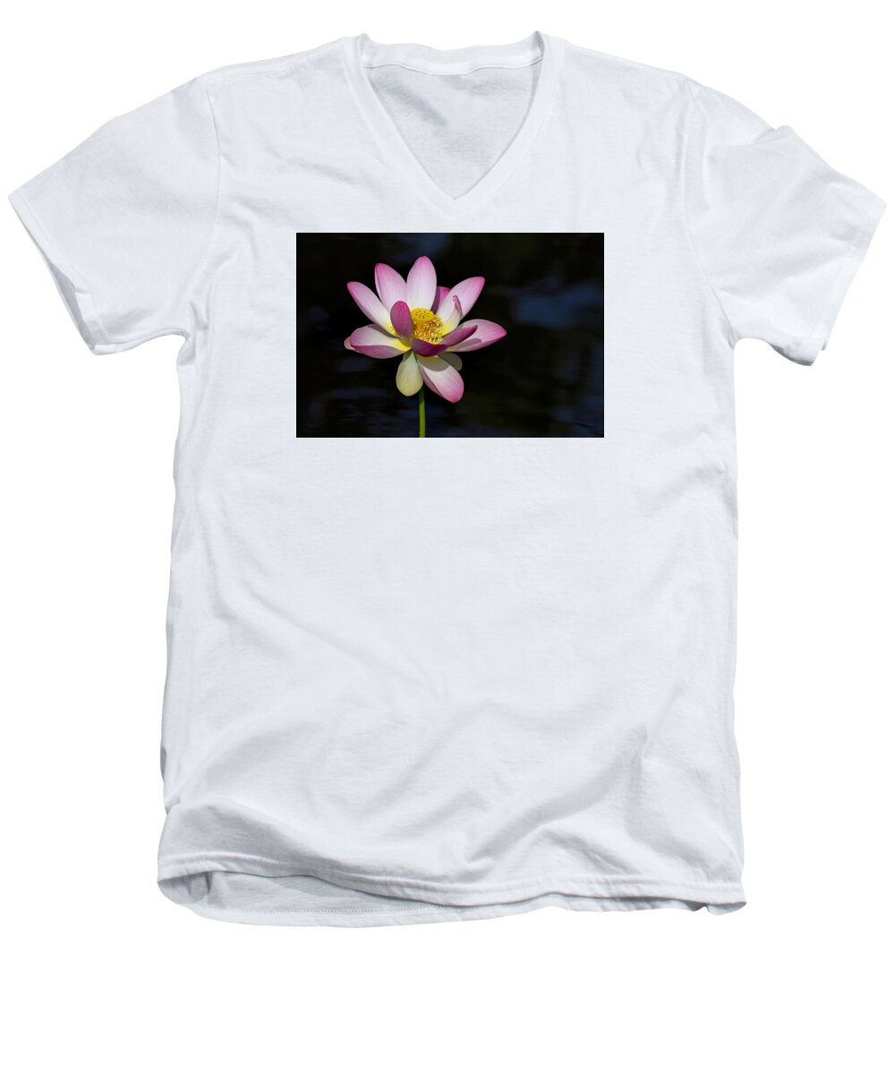 Lotus Men's V-Neck T-Shirt featuring the photograph Lotus Bloom #1 by Jerry Gammon