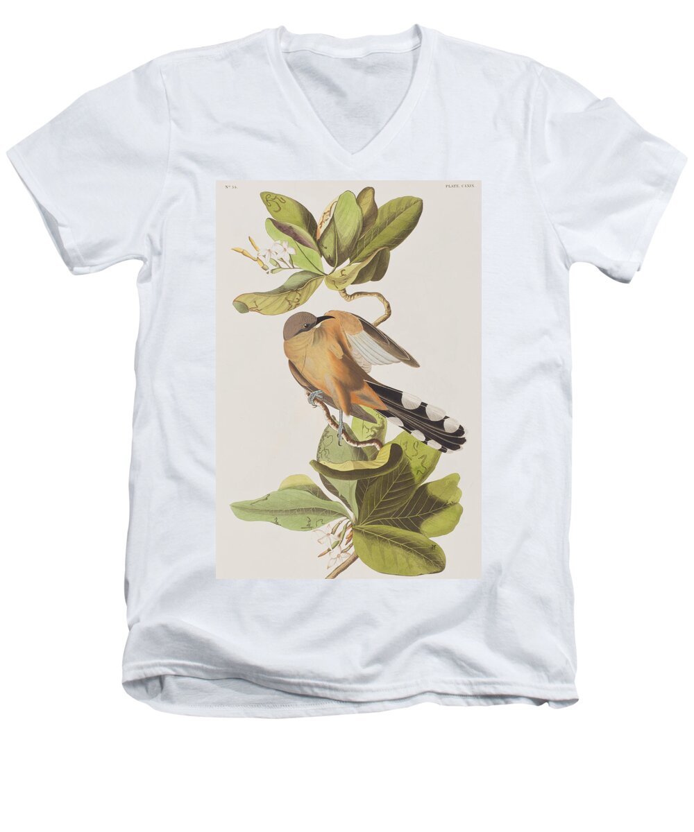 Mangrove Cuckoo Men's V-Neck T-Shirt featuring the painting Mangrove Cuckoo by John James Audubon