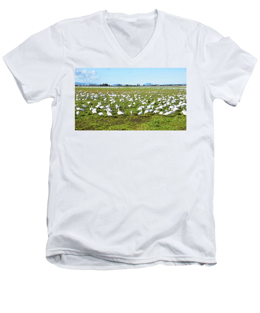 Skagit Snow Geese Men's V-Neck T-Shirt featuring the photograph Skagit Snow Geese #1 by Tom Cochran