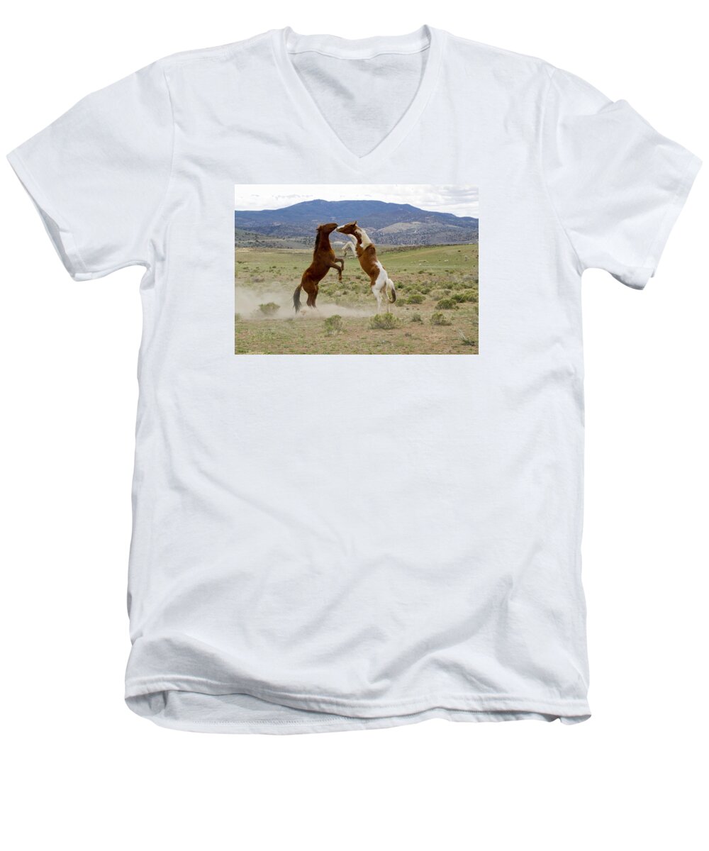 Horses Men's V-Neck T-Shirt featuring the photograph Wild Mustang Stallions Sparring by Waterdancer 