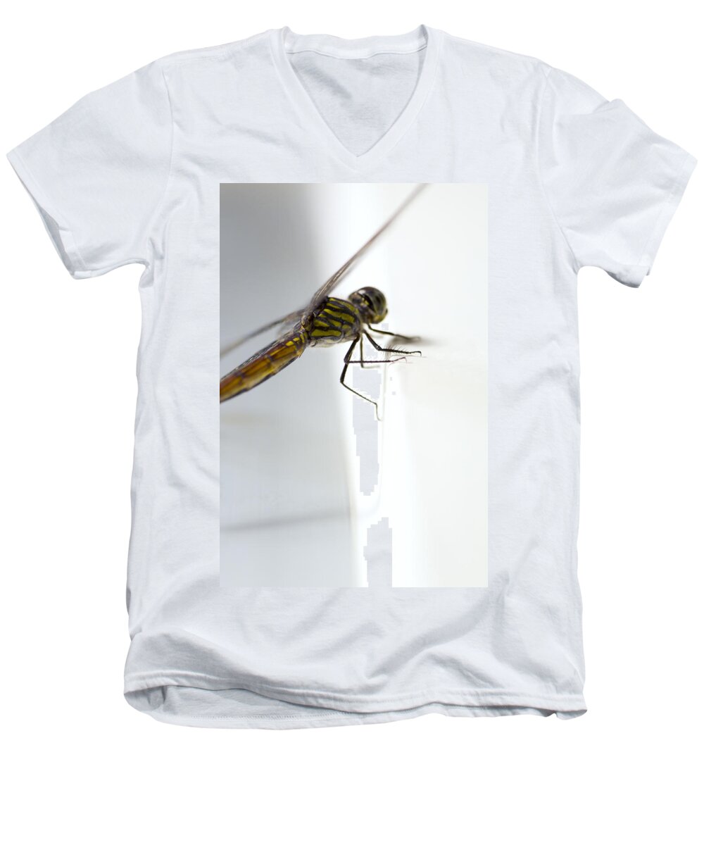 Lightweight Men's V-Neck T-Shirt featuring the photograph Close up shoot of a anisoptera dragonfly #2 by U Schade