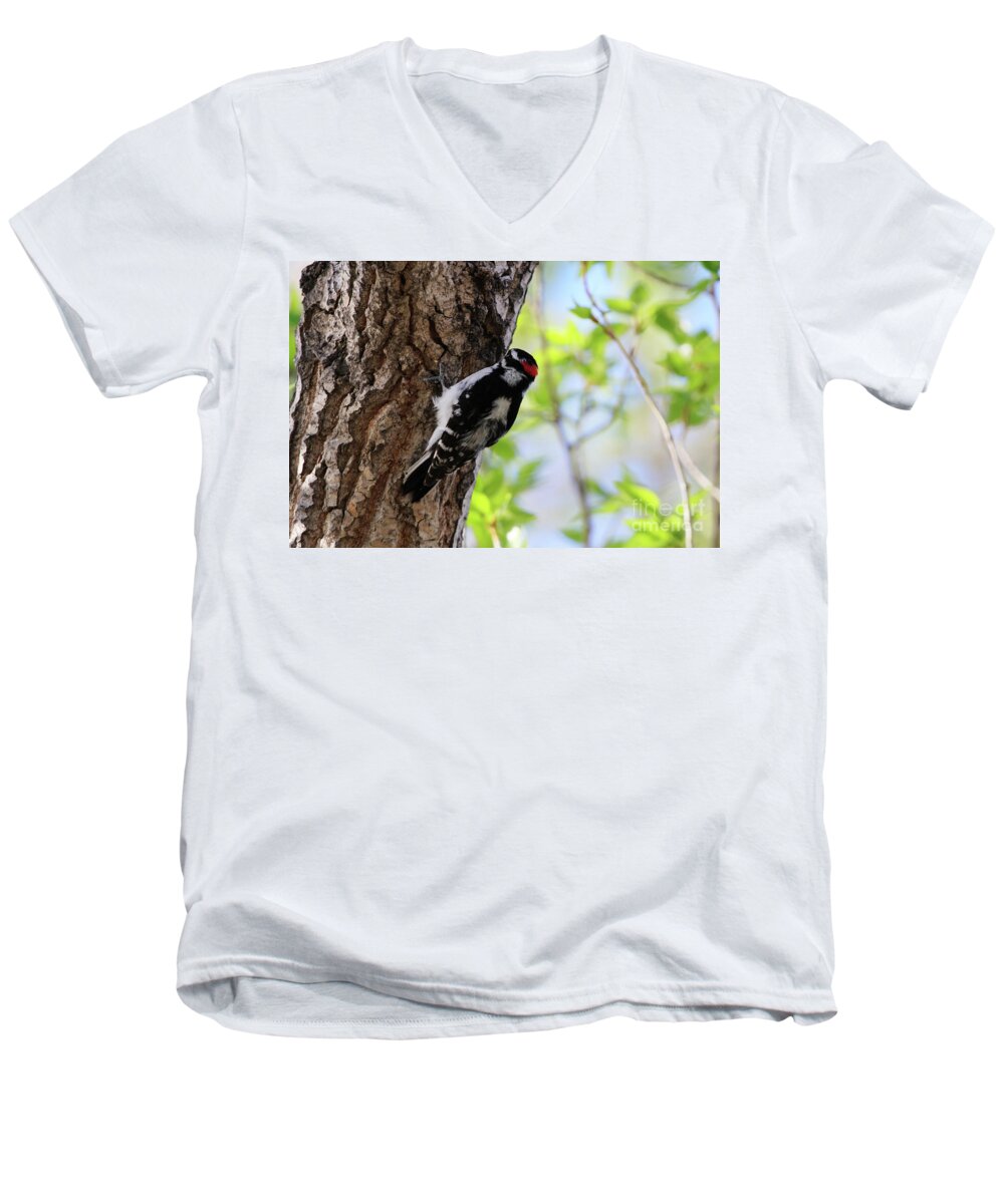 Bird Men's V-Neck T-Shirt featuring the photograph Male Downy Woodpecker #2 by Alyce Taylor