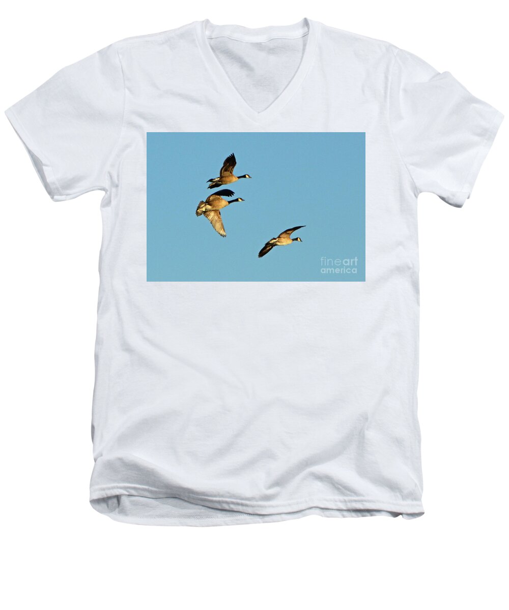 3 Geese Men's V-Neck T-Shirt featuring the photograph 3 Geese in Flight by Cindy Schneider