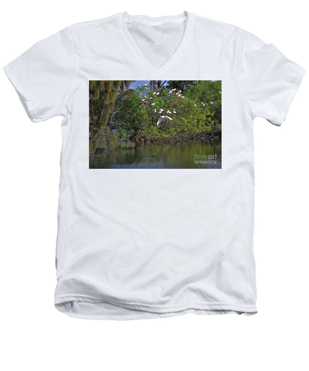  Ibis Men's V-Neck T-Shirt featuring the photograph 38- Alligator and Ibis by Joseph Keane