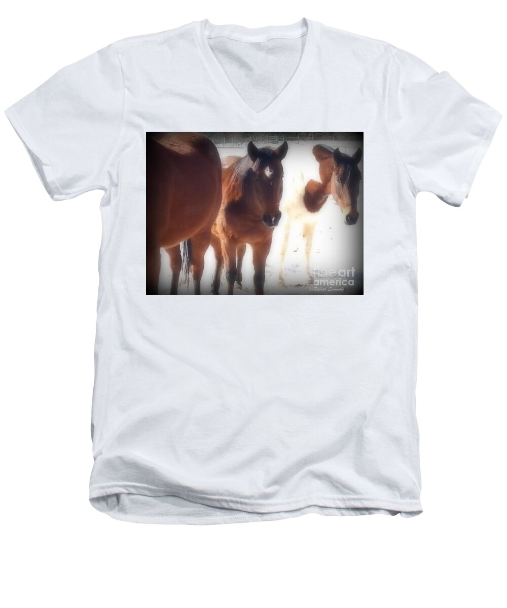 Horses Men's V-Neck T-Shirt featuring the photograph Friends #4 by Rabiah Seminole