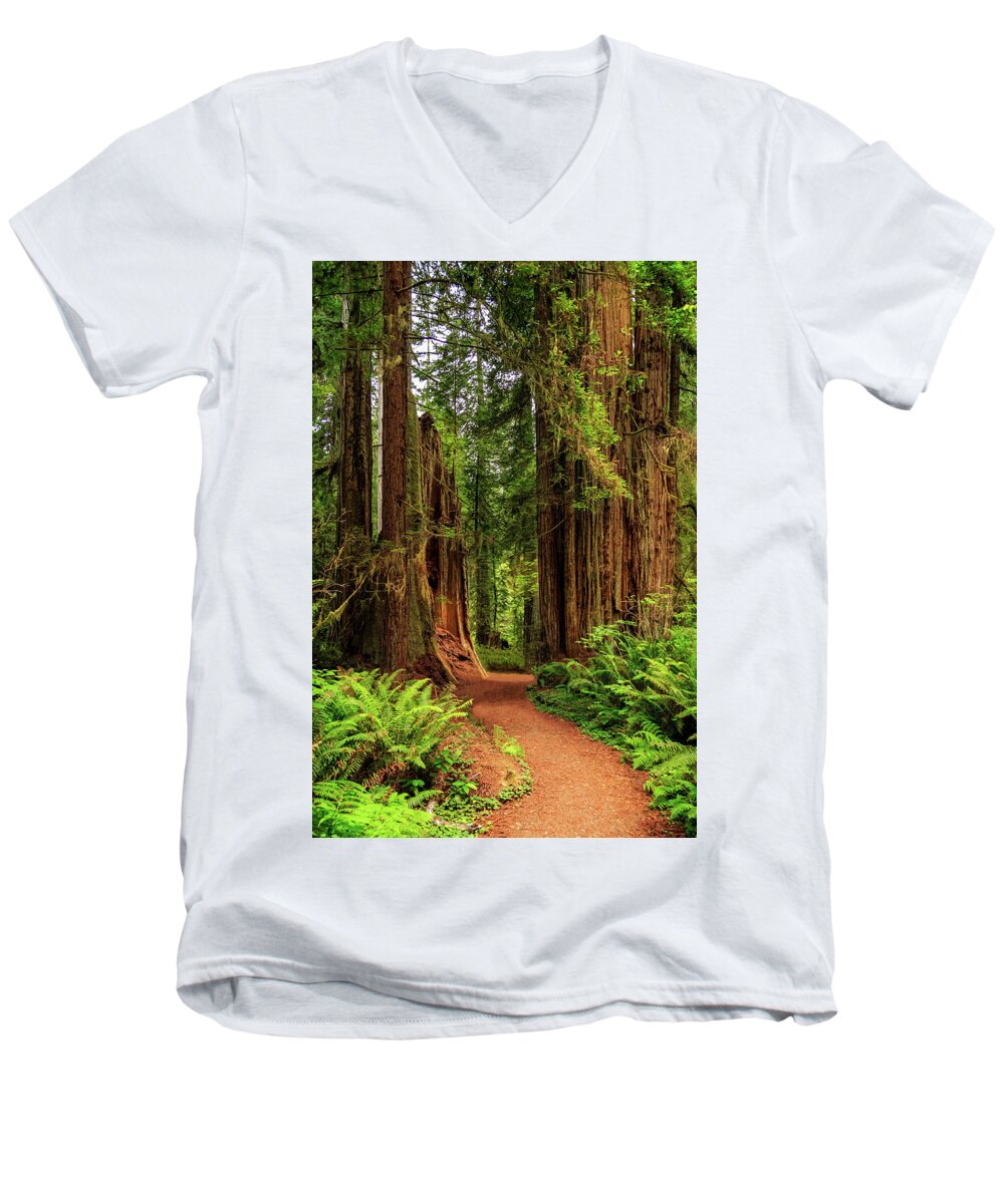 Path Men's V-Neck T-Shirt featuring the photograph A Path Through The Redwoods by James Eddy