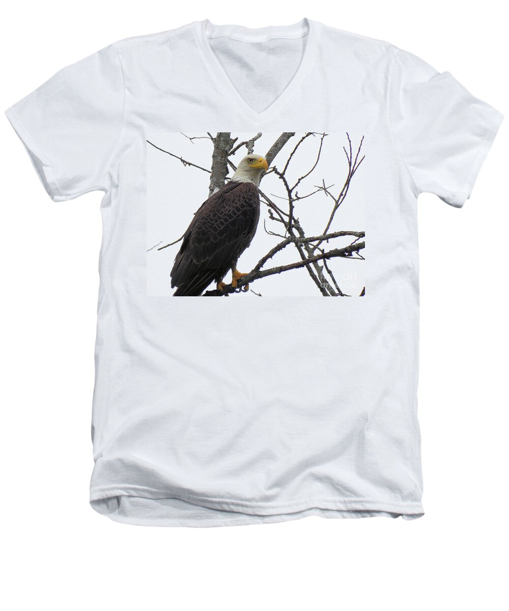 American Bald Eagle Men's V-Neck T-Shirt featuring the photograph American Bald Eagle Pictures by Scott Cameron