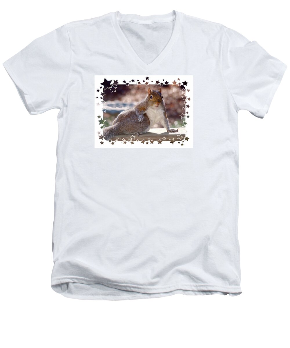 Squirrel Men's V-Neck T-Shirt featuring the photograph The Show Off by Sue Melvin