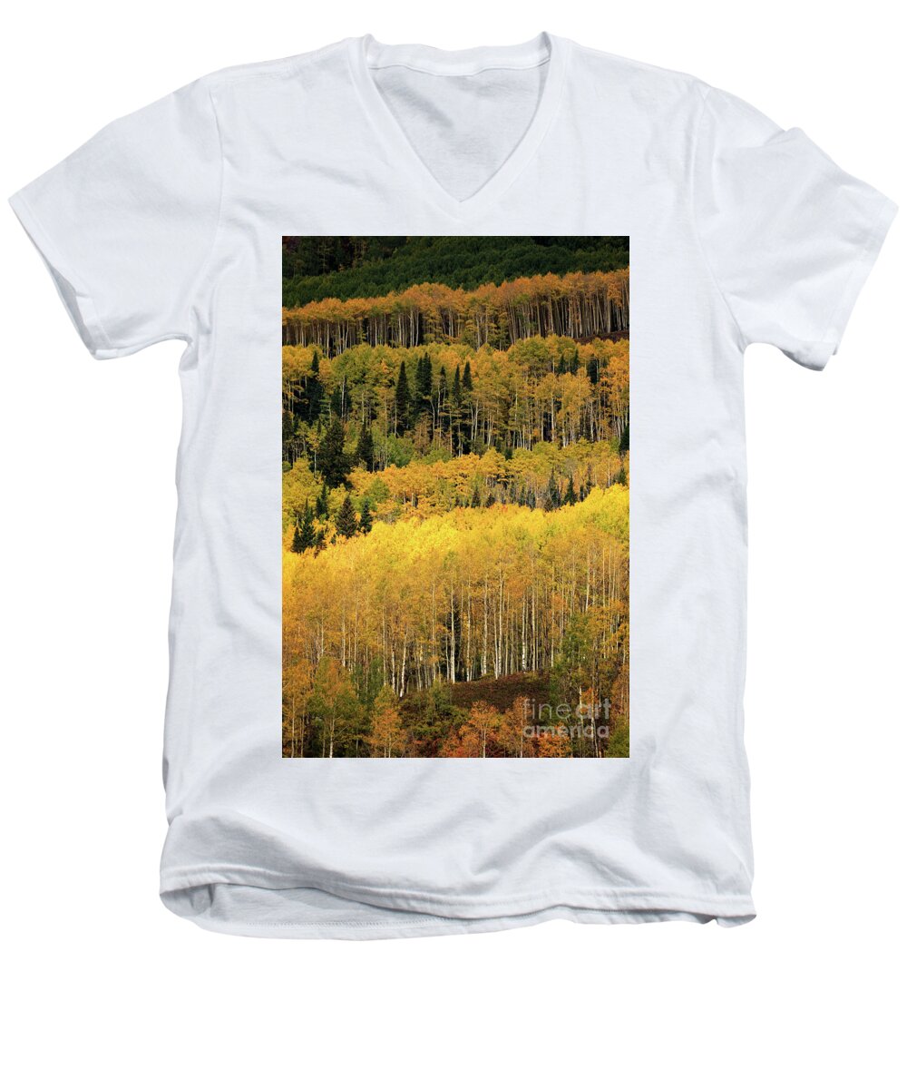 Colorado Men's V-Neck T-Shirt featuring the photograph Aspen Groves by Doug Sturgess