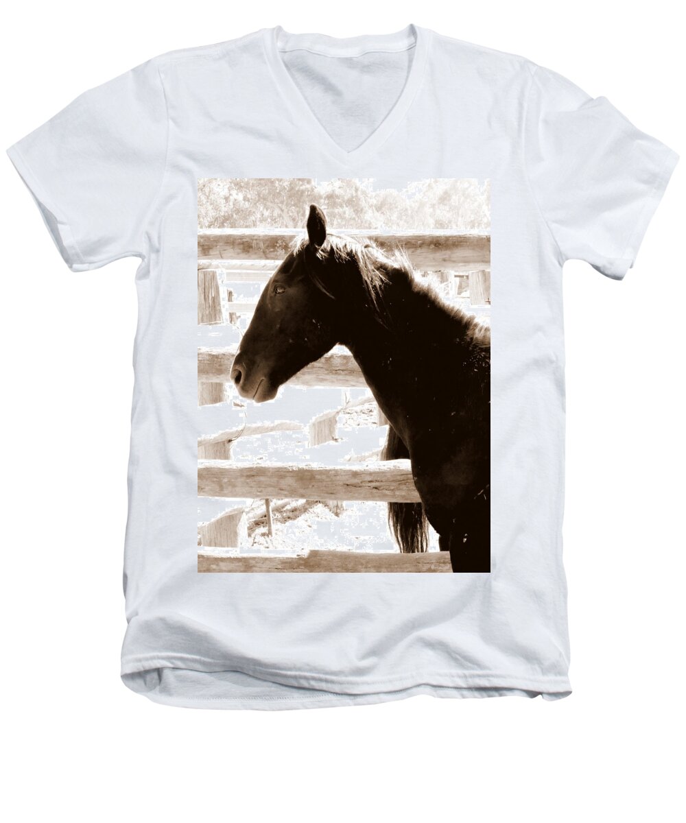 Wild Australian Horses Men's V-Neck T-Shirt featuring the photograph Captured by Lexa Harpell