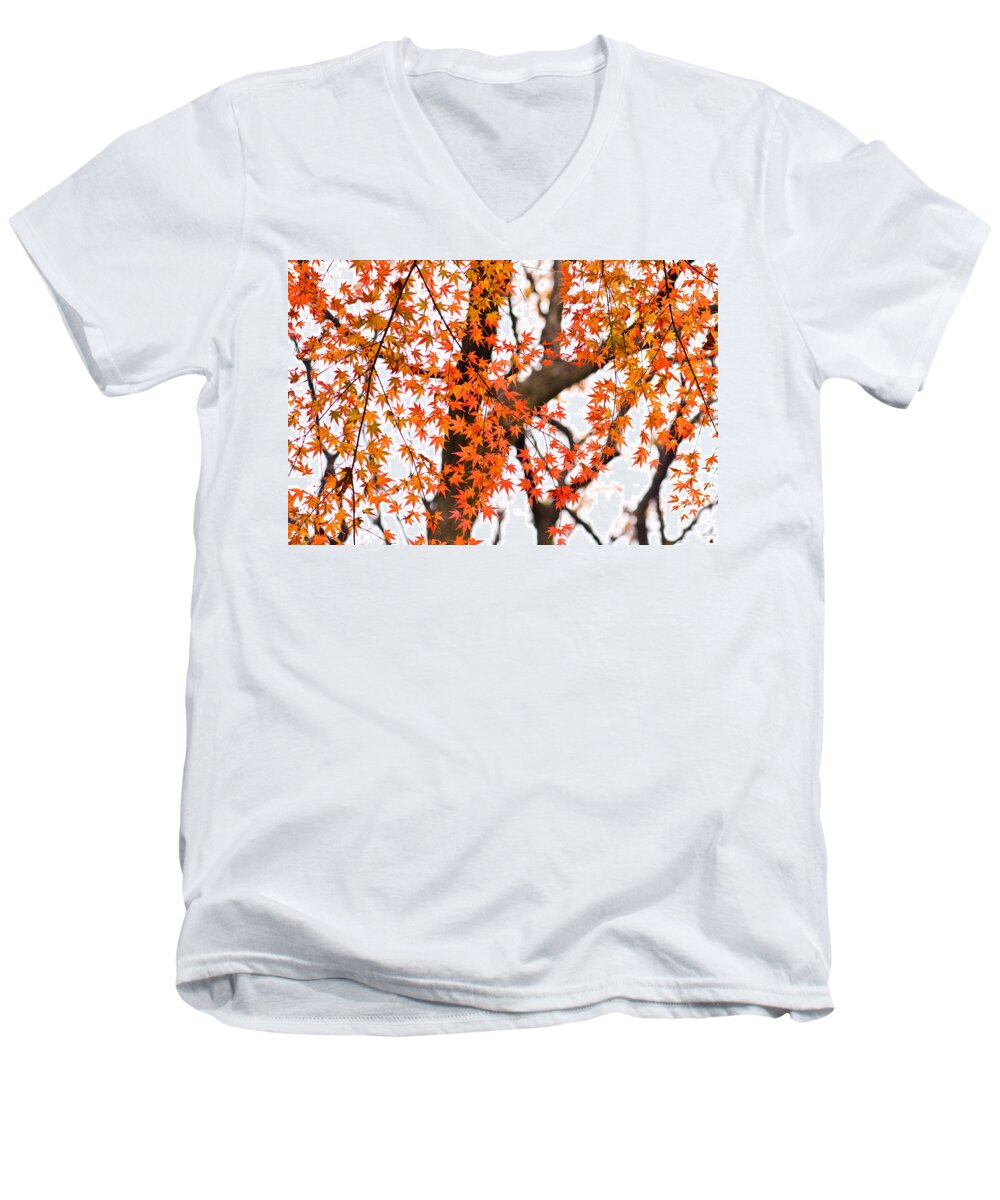 Autumn Men's V-Neck T-Shirt featuring the photograph Autumn red leaves on a tree  by U Schade