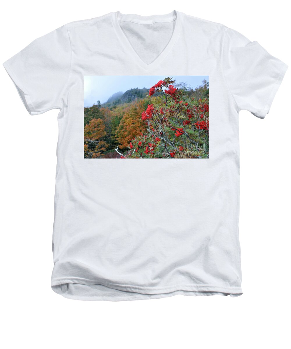 Mountain Ash Men's V-Neck T-Shirt featuring the photograph Autumn's Beauty on The Mountain by Lydia Holly
