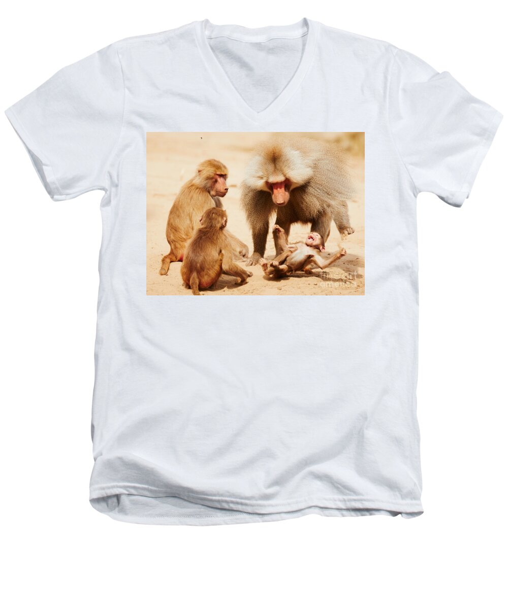 Africa Men's V-Neck T-Shirt featuring the photograph Baboon family having fun in the desert by Nick Biemans