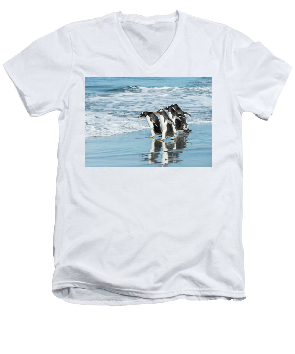 The Falklands Men's V-Neck T-Shirt featuring the photograph Back to the sea. by Usha Peddamatham