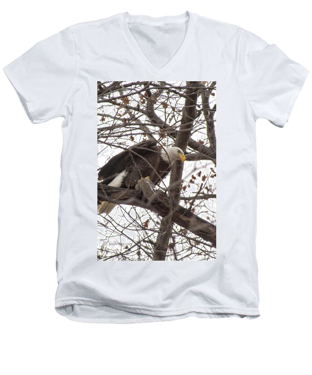  Men's V-Neck T-Shirt featuring the photograph Backyard Eagle And Squirrel.... by Paul Vitko