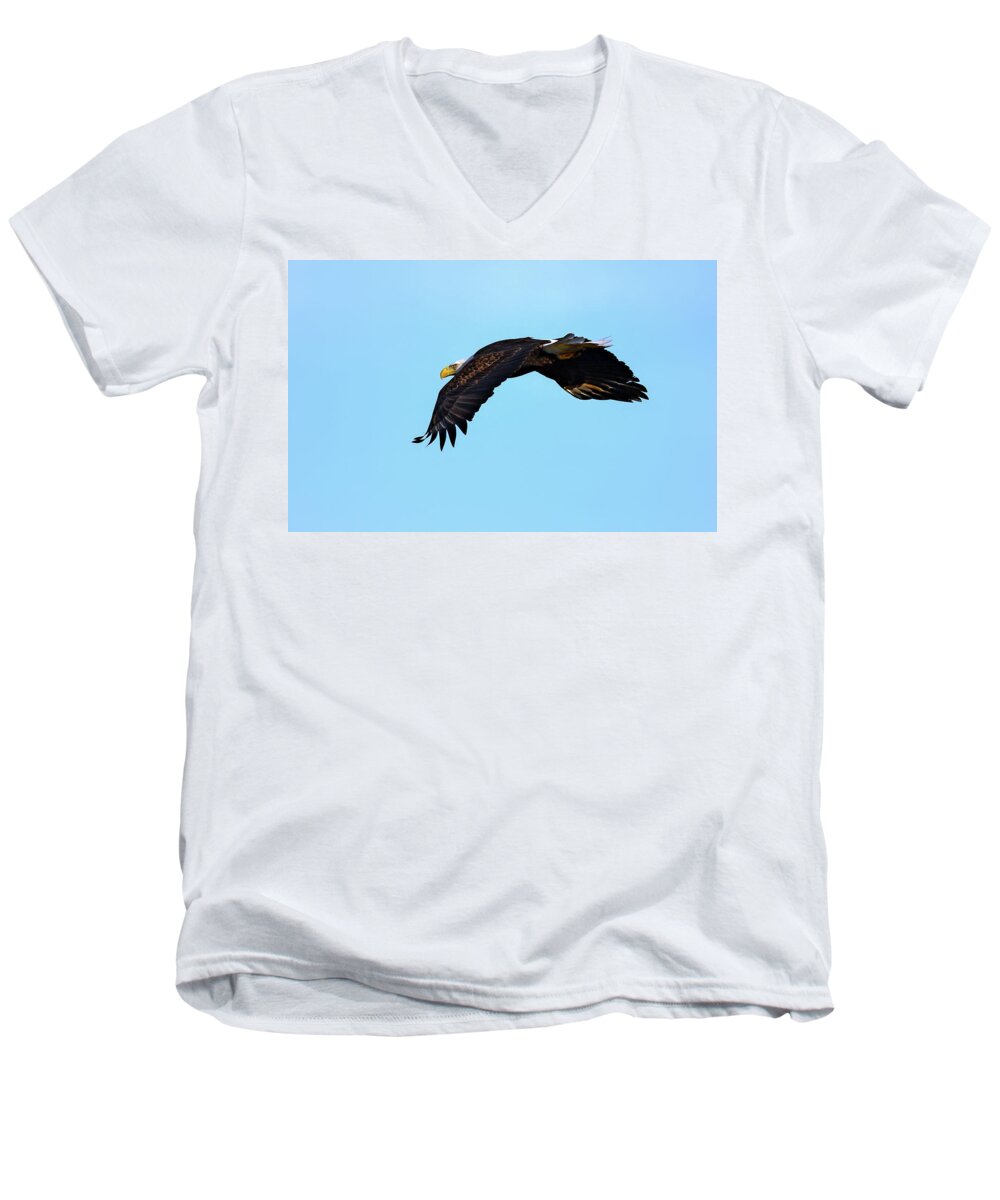 Usa Men's V-Neck T-Shirt featuring the photograph Bald Eagle Horizons by Patrick Wolf
