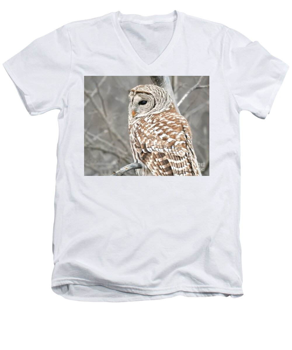 Barred Owl Close-up Men's V-Neck T-Shirt featuring the photograph Barred Owl Close-Up by Kathy M Krause