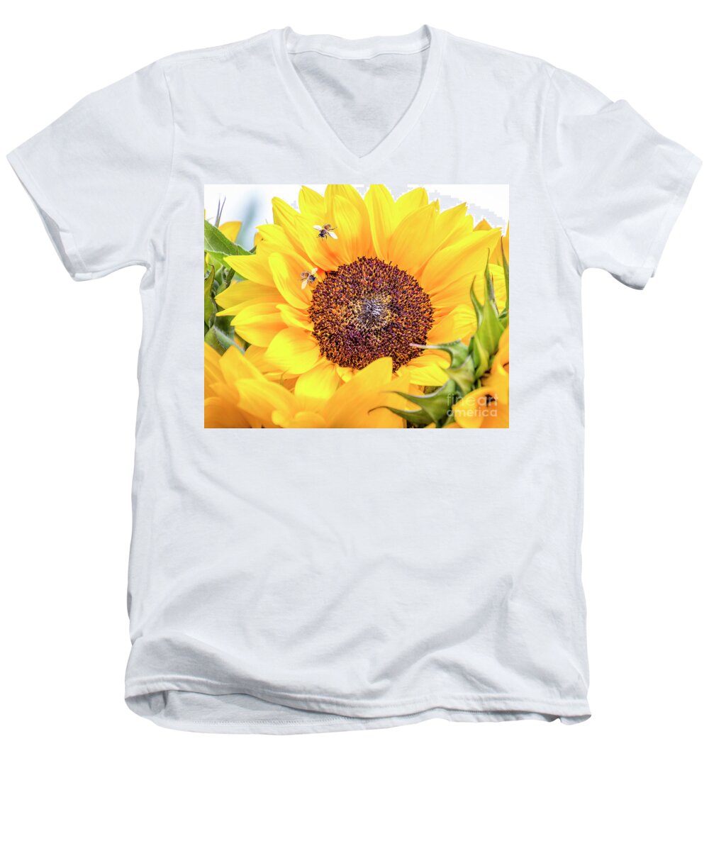 Sunflower Men's V-Neck T-Shirt featuring the photograph Bee-utiful by Joann Long