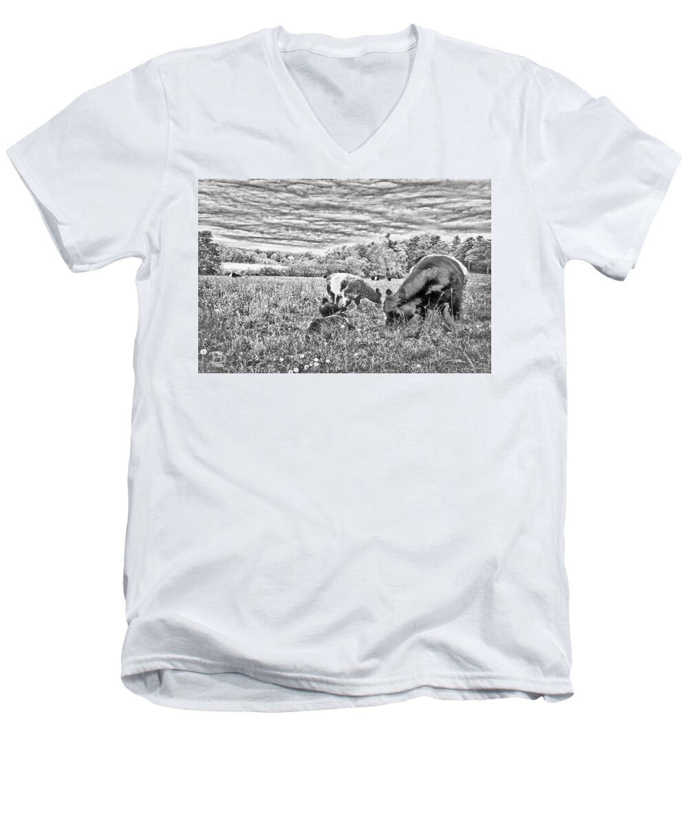 Belted Galloway Beef Cattle Men's V-Neck T-Shirt featuring the digital art Belted Galloway Beef Cattle by Daniel Hebard