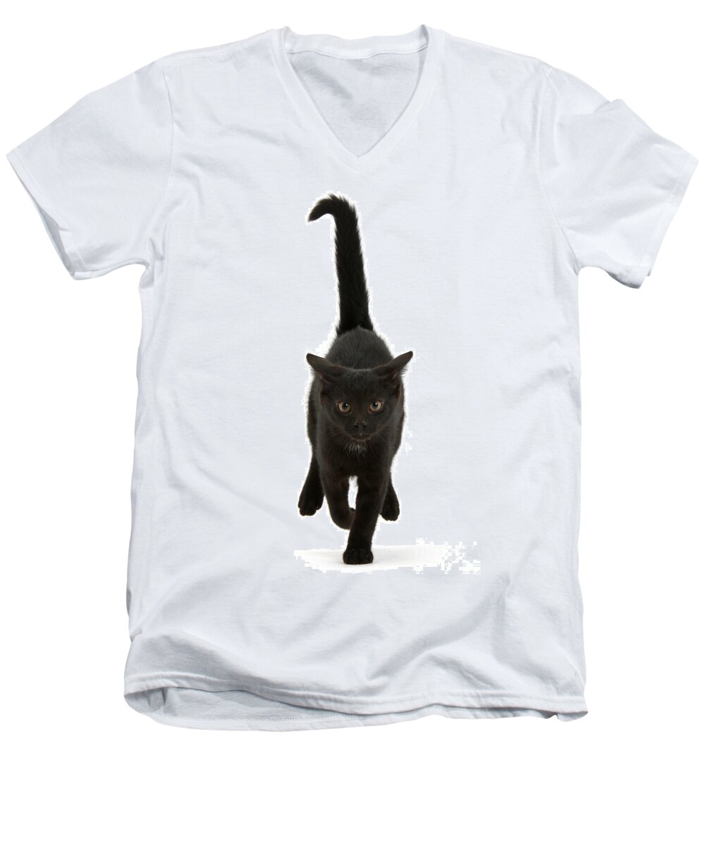 Black Men's V-Neck T-Shirt featuring the photograph Black Cat on the Run by Warren Photographic