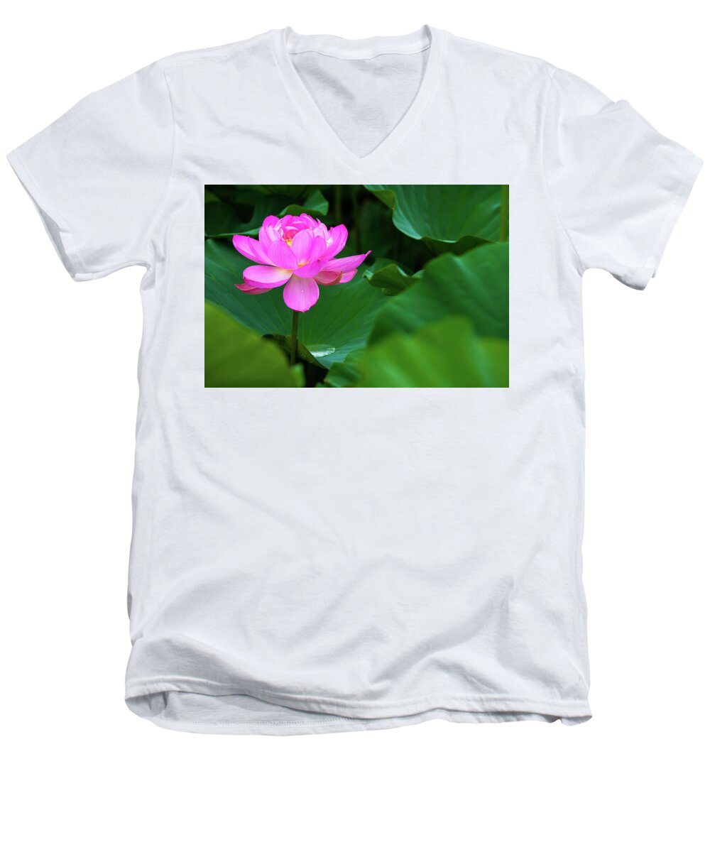 Bloom Men's V-Neck T-Shirt featuring the photograph Blooming Pink Lotus Lily by Dennis Dame