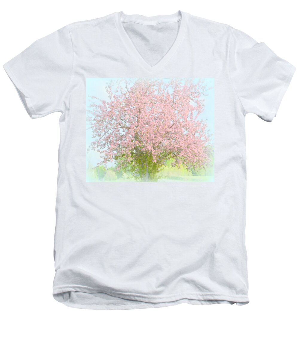 Blossom Men's V-Neck T-Shirt featuring the photograph Blossoms by Kimberly Woyak