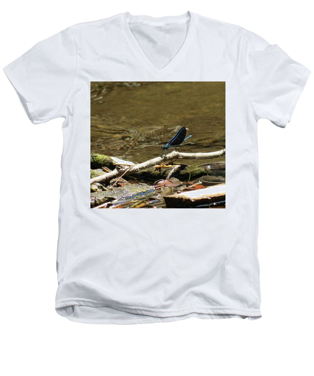 Insect Men's V-Neck T-Shirt featuring the photograph Blue Beauty by Azthet Photography