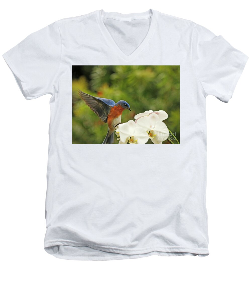 Bluebird Men's V-Neck T-Shirt featuring the photograph Bluebird Landing on Orchid by Luana K Perez