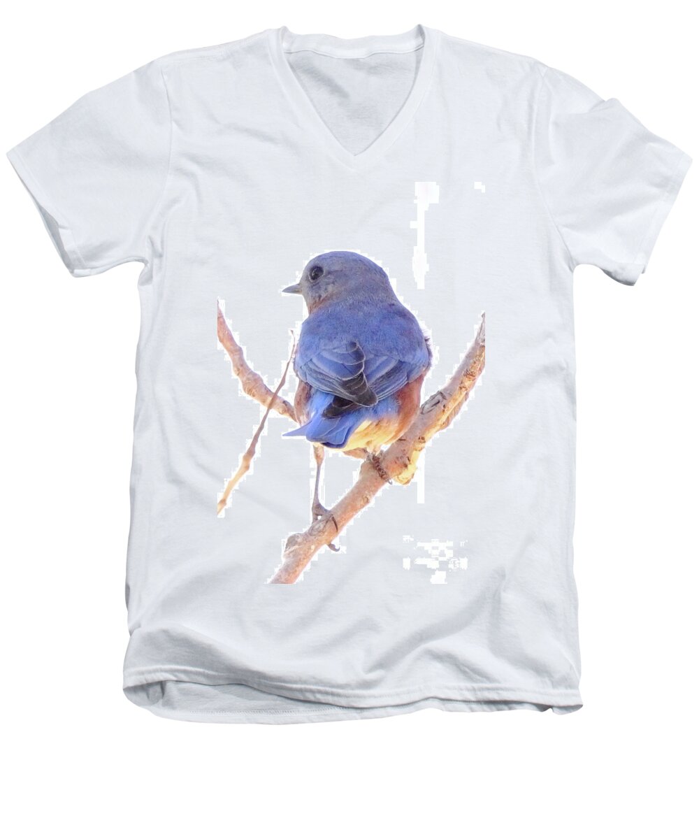 Animal Men's V-Neck T-Shirt featuring the photograph Bluebird On White by Robert Frederick