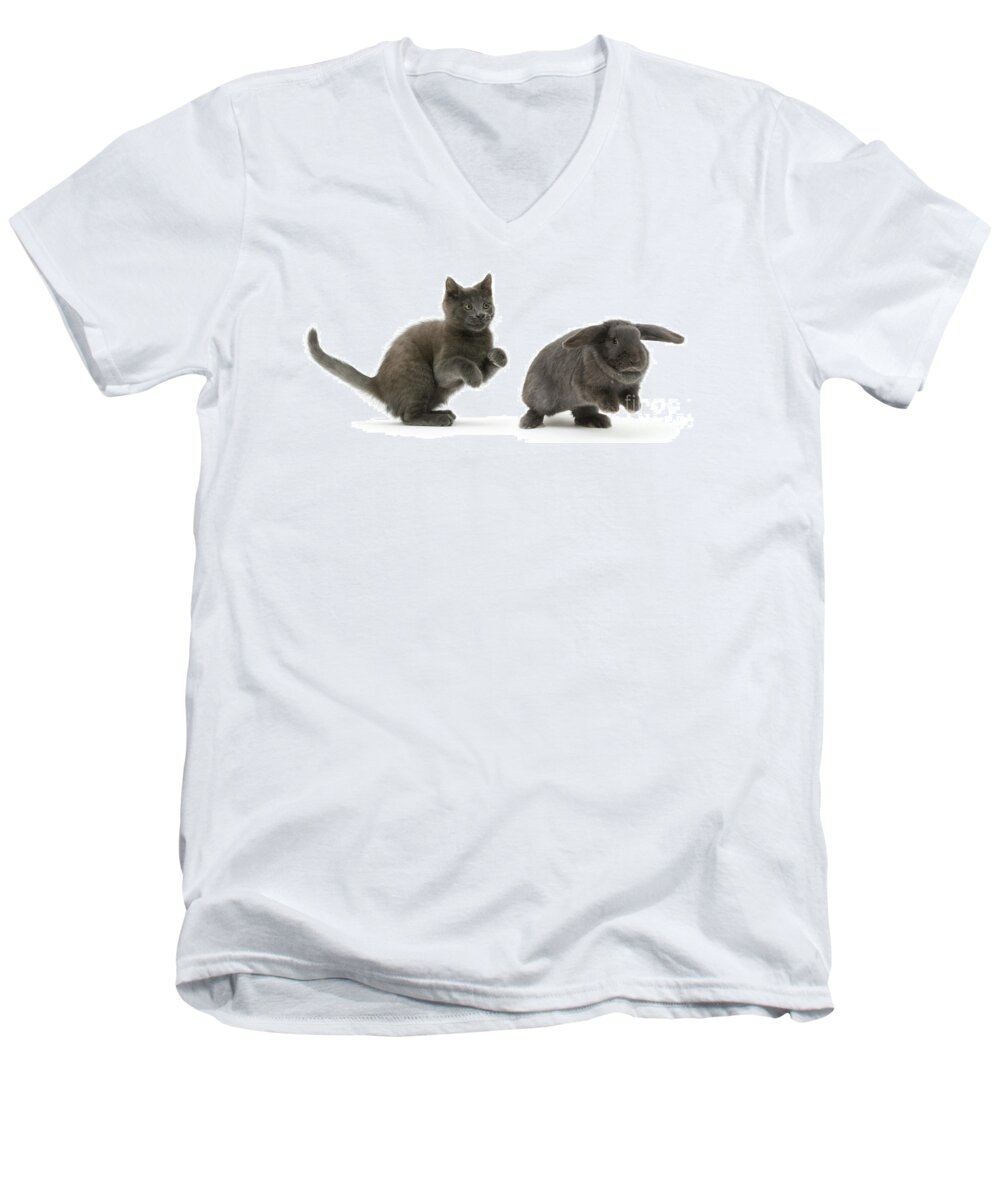 Russian Men's V-Neck T-Shirt featuring the photograph Bouncing with Bunny by Warren Photographic