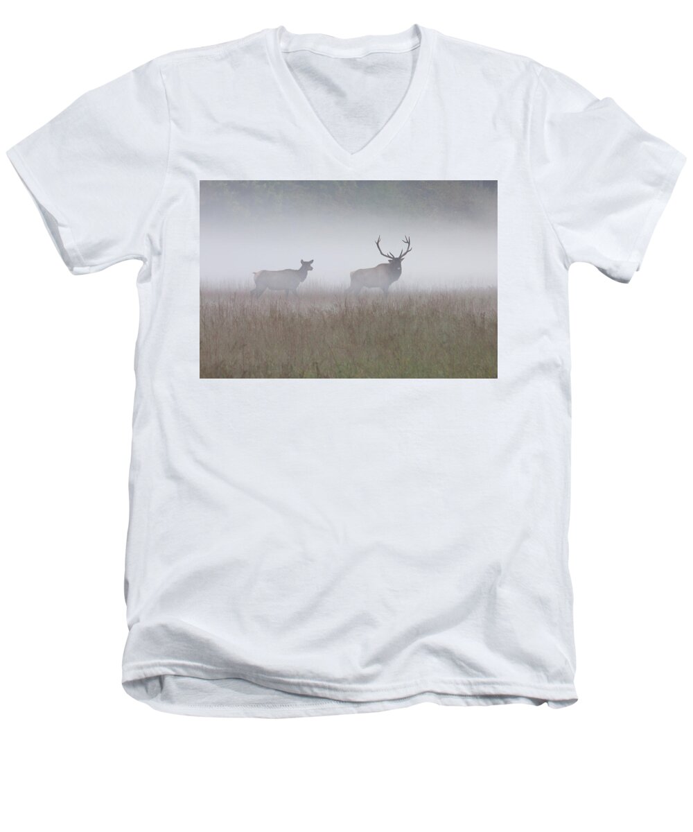 Elk Men's V-Neck T-Shirt featuring the photograph Bull and Cow Elk in Fog - September 30 2016 by D K Wall