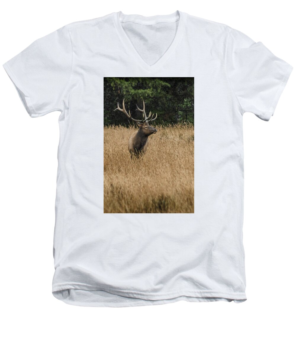 Dakota Men's V-Neck T-Shirt featuring the photograph Bull Elk in Yellowstone by Greni Graph