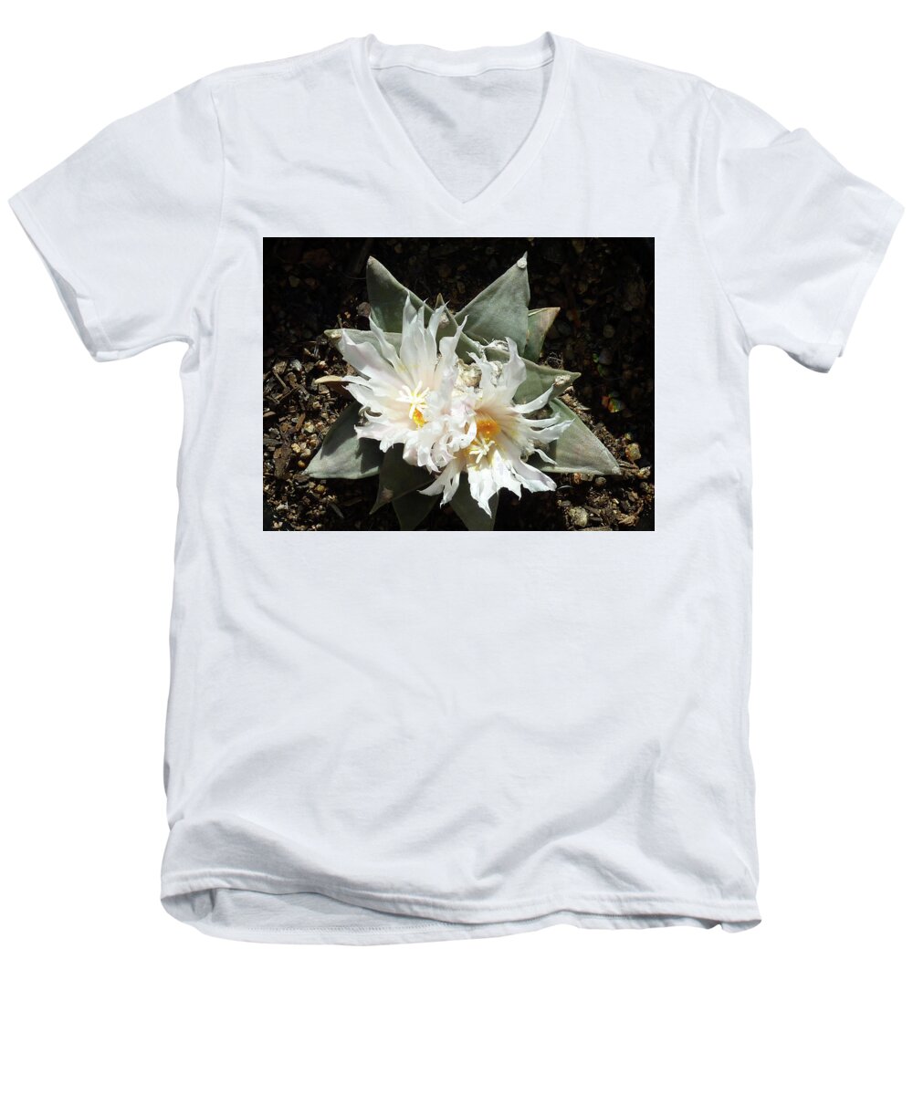 Cactus Men's V-Neck T-Shirt featuring the photograph Cactus Flower 9 by Selena Boron